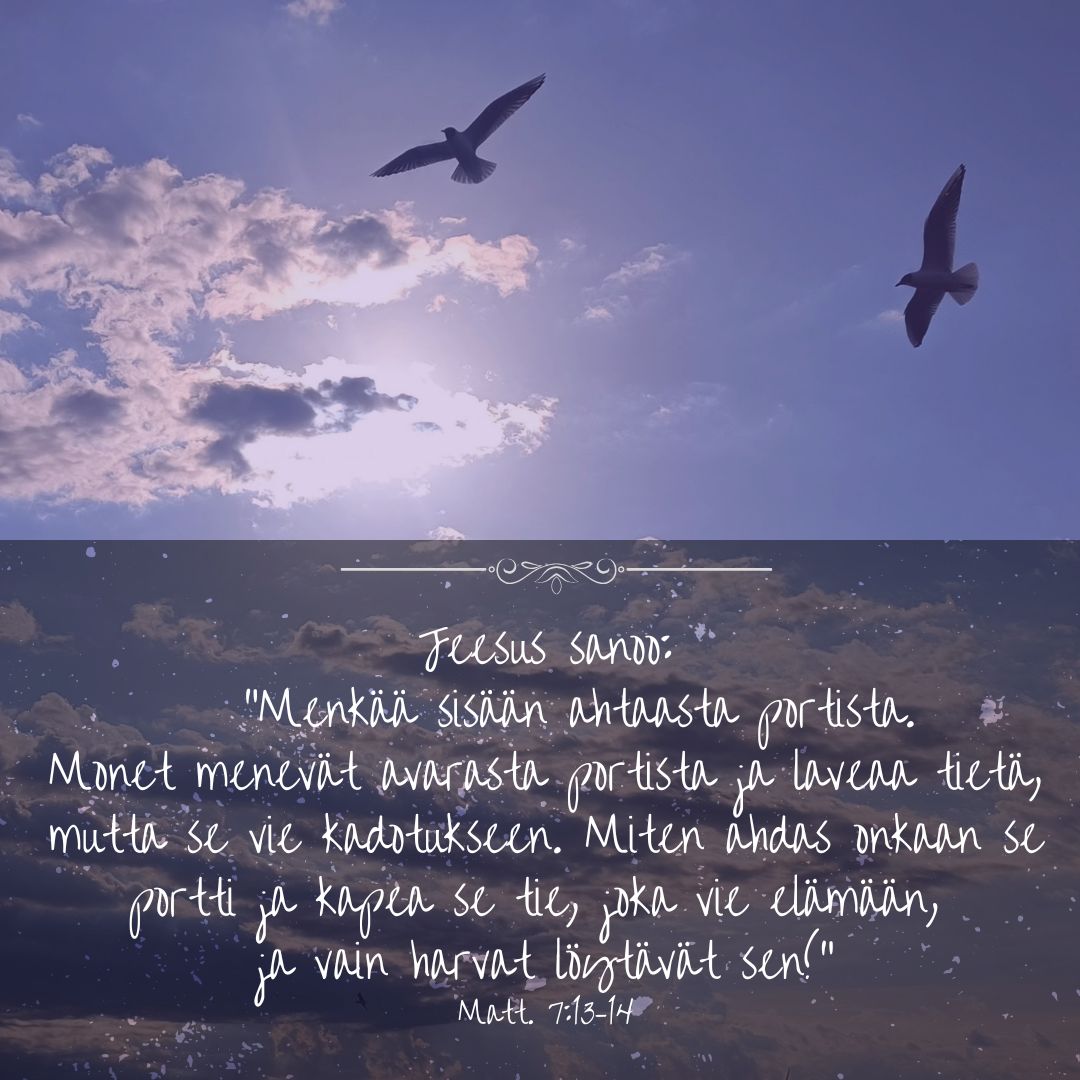 kuvassa merta, taivasta ja lintuja